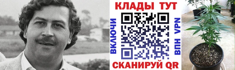 Где купить наркоту Челябинск Бошки Шишки  Меф  COCAIN  ГАШ 