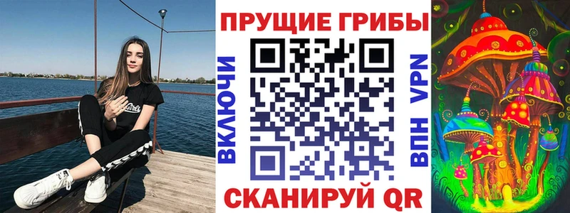 darknet состав блэк спрут рабочий сайт Челябинск Псилоцибиновые грибы Psilocybine cubensis